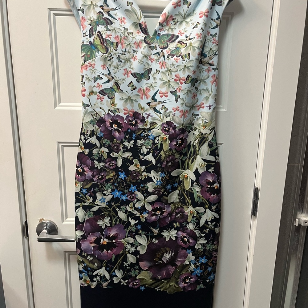 Ted Baker size 4 Tiha Entangled Enchantment Dress